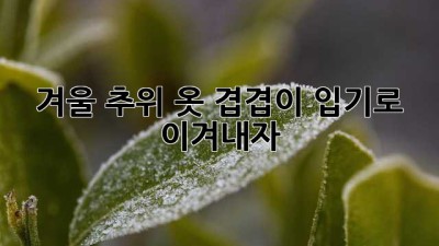 겨울 추위, 옷 겹겹이 입기로 이겨내자!