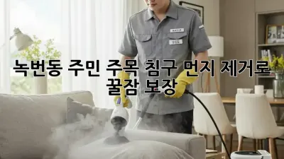 🧹 녹번동 주민 주목! 침구 먼지 제거로 꿀잠 보장 😴