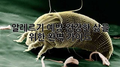 알레르기 예방: 건강한 삶을 위한 완벽 가이드